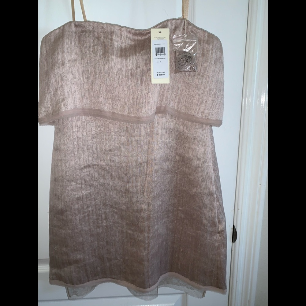 BCBGMAXAZRIA Runway Ltd. edition Dress Size 4 NWT